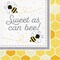 Party Central 2-Ply Sweet as can bee Disposable Party Napkins - 12.75" - Club Pack of 192